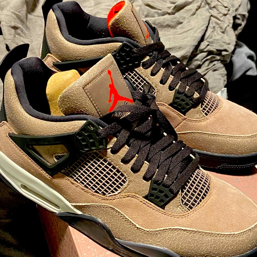 Taupe haze Jordan retro 4s